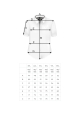 Laviino gladka krotki BIG XL.jpg