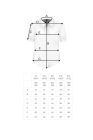 x Bassi krotki XL-5XL.jpg