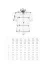 x viadi polo 2025 XS-3XL.jpg