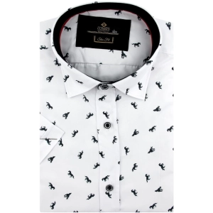 Koszula Męska Elegancka Biała w Koniki Slim Fit Classo R430